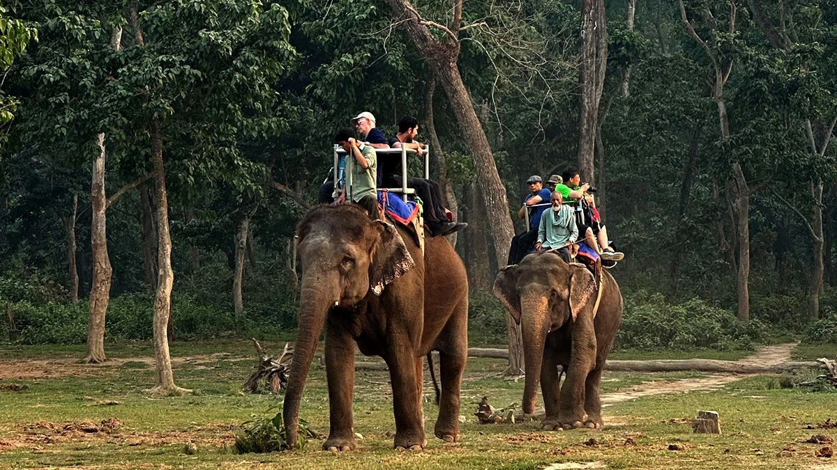 Dhampus Sarangkot Trek with Chitwan Jungle Safari - 11 Days