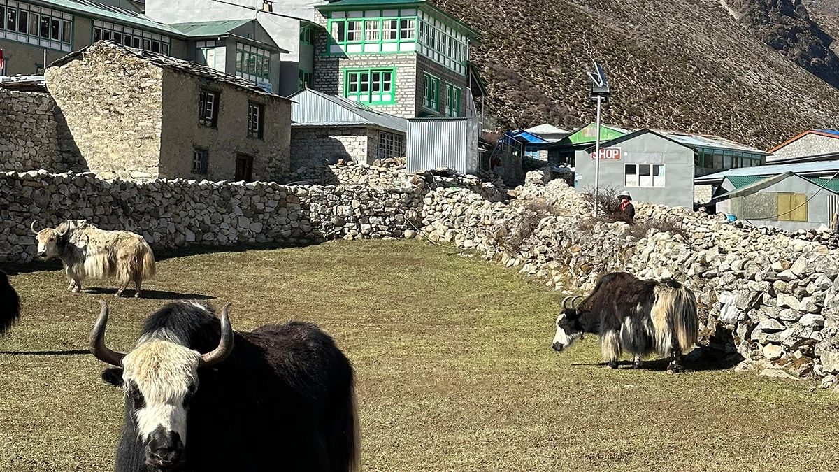 Luxury Everest Base Camp Trek