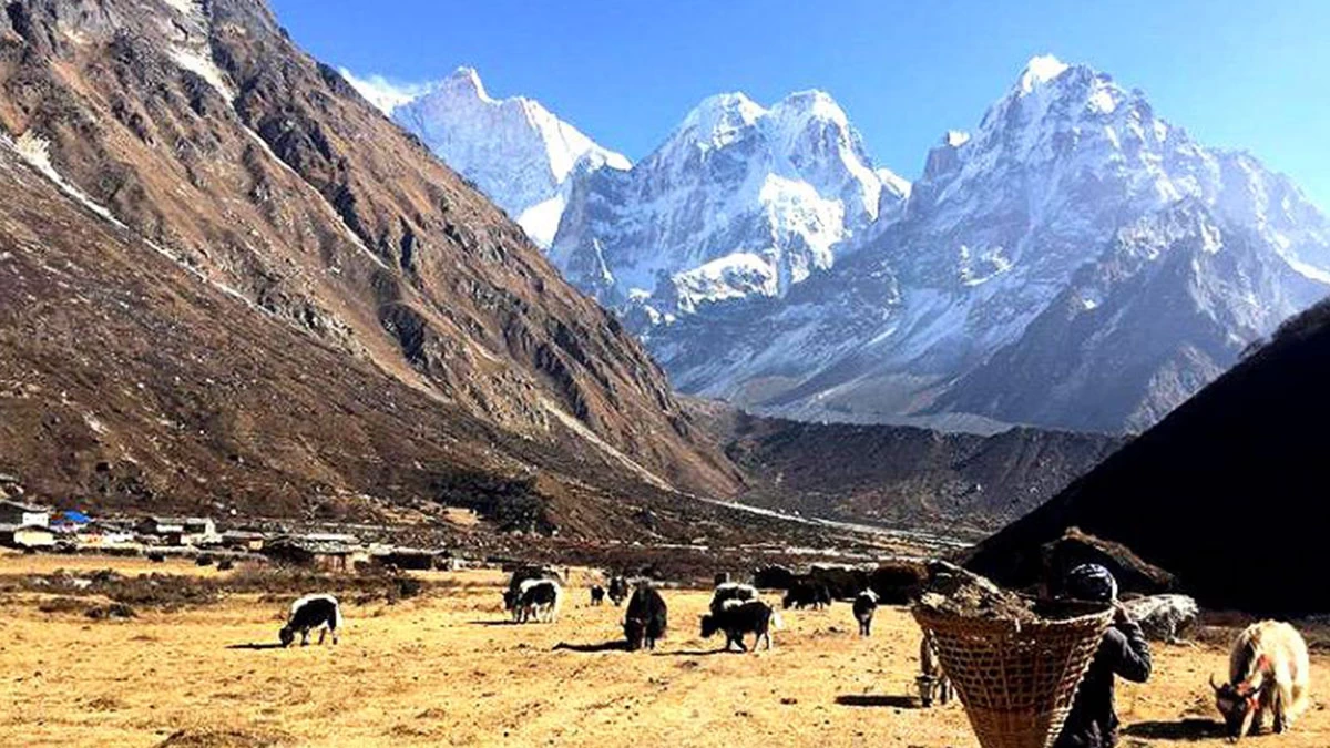 Kanchenjunga Circuit Trek