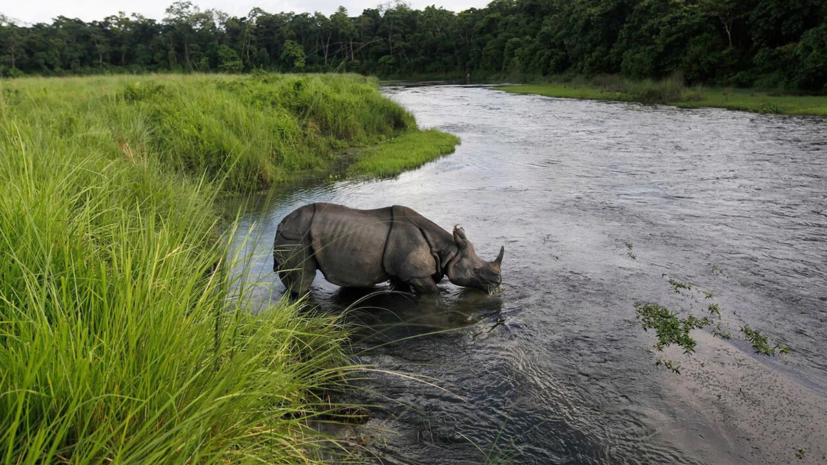 Kathmandu, Pokhara and Chitwan Tour - 08 Days