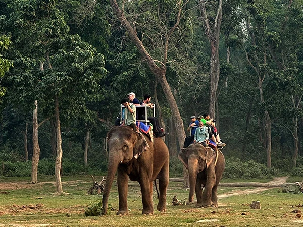 Dhampus Sarangkot Trek with Chitwan Jungle Safari - 11 Days